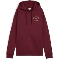 Puma Class Relaxed Fit Hettegenser