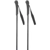 Rossignol Ft-501 Junior Staver