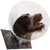 Buster K273392 Elizabethan Hundehalsbånd 10 Enheter