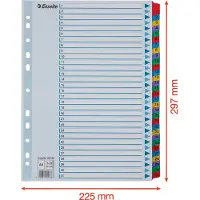 Esselte Register Mylar A4 1-31 flerfarget