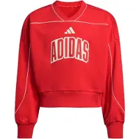 Adidas Stadium Collegegenser