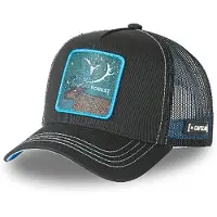 Capslab Cas2 For1 Cap