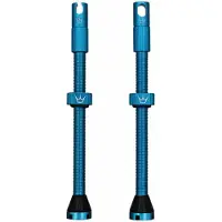 Chris King Peaty´s Tubeless Ventiler