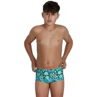 Speedo Pond Life 13 Cm Club Training Allover Badetrusser