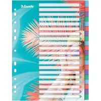 Esselte Colour'Breeze A4 Indices 20 Tabs PP