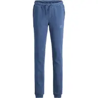Jack & Jones Gordon Newsoft Svettbukser