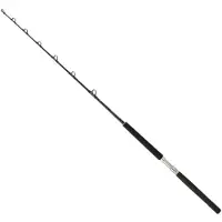 Daiwa Sealine X Fiskesnelle