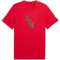 Puma AC Milan FtblCulture Tee Men, Football, Red/Black, L