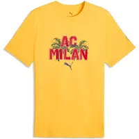 Puma AC Milan FtblCulture Tee Men, Football, Sunny Yellow/Red, XXL
