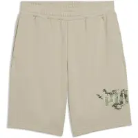 Puma Camo 10’’ Shorts Men, Men, Pebble Gray, XXL