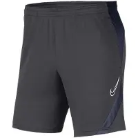 Nike Dri-fit Academy 20 Shorts