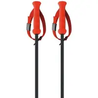Fischer Rd 13 Carbon Spaserstokker