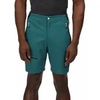 Regatta Highton Pro Shorts