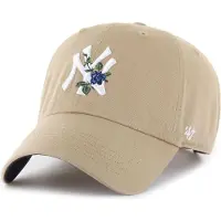 47Brand MLB NY Yankees Thorn '47 Clean Up Caps brun