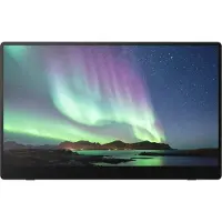 Ricoh 15.6" 150 - OLED monitor - Full HD (1080p) - 15.6"