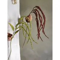 Bloomingville Foxtail Stilk, Brun, Kunstige Blomster