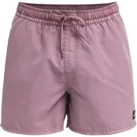 Quiksilver Everyday Surfwash Volley 15 Boardshorts grønn