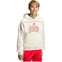 Adidas Stadium Lettering Hettegenser
