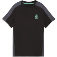 Puma Active Sports Graphic Tee Youth, Clothing, Black, 13-14Y