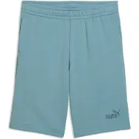 Puma Essentials No.1 Logo Shorts Youth, Age, Seafoam, 15-16Y