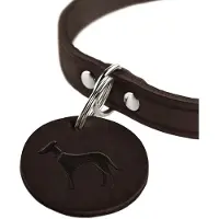 Hunter Pet Aalborg Hundehalsbånd