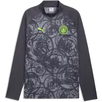 Puma Manchester City Warmup Quarter-Zip Top Men, Football, Galactic Gray/Pro Green, M