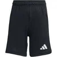 Adidas Entrada 26 Training Shorts