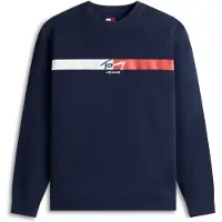 Tommy Hilfiger Sign Stripe Collegegenser