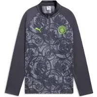 Puma Manchester City Warmup Quarter-Zip Top Youth, Football, Galactic Gray/Pro Green, 15-16Y