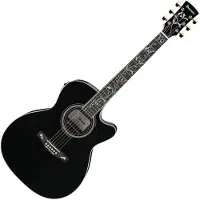 Ibanez AC391RCE Black High Gloss Top Natural High Gloss Back and Sides