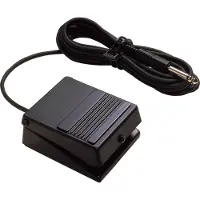 Roland DP-2 Sustainpedal