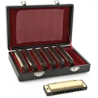 Gear4Music Gullfargede Munnspill for Blues Sett fra