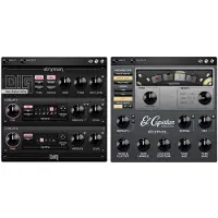 Strymon Echo Bundle