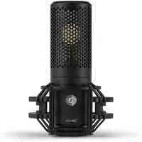 Shure KSM32C Large Diaphragm Condenser Microphone Bundle