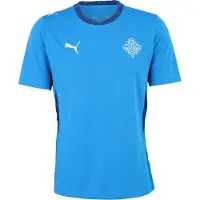 Puma Iceland 2026 Home Jersey Men, Performance, Electro Royal/White, L