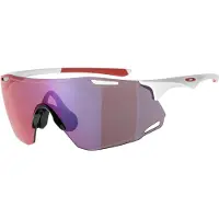 Oakley Mann Cybr Dyno Solbriller