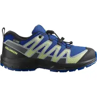 Salomon Xa Pro V8 Wp Tursko