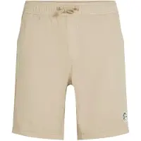 O'Neill O'Riginals Walk Shorts brun