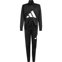 Adidas Essentials Big Logo Climacool Treningsdress