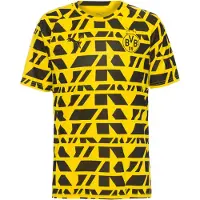 Puma Borussia Dortmund Pre-match Jersey Men, Sport, Faster Yellow/Black, L