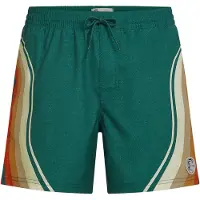 O'Neill O'Riginals Longboard 15" Boardshorts grønn