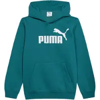 Puma ESS No. 1 Logo Fleece Hoodie Youth, Clothing, Emerald Ice, 13-14Y