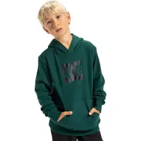 Dc-shoes Star Kids Hettegenser grønn