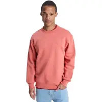 Quiksilver Salt Water Collegegenser