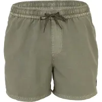 Quicksilver Everyday Surfwash Volley 15 Boardshorts grønn