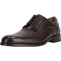 Clarks Shoes Craft Arlo Lace Sko