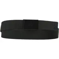 Levis Accessories Tonal Batwing Web Belte