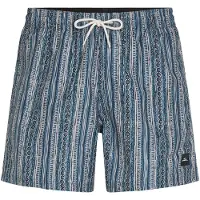 O'Neill Cali Print 15'' Boardshorts blå