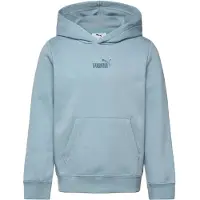 Puma Essentials No.1 Logo Fleece Hoodie Youth, Winter, Seafoam, 9-10Y