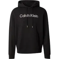 Calvin Klein 350 Terry Standard Logo Hettegenser